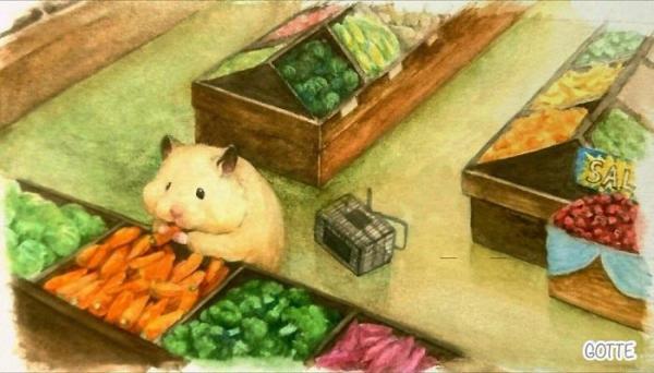 Bộ tranh cuộc sống thường nhật của bé hamster khiến ai cũng á ố vì quá dễ thương Bộ tranh cuộc sống thường nhật của bé hamster khiến ai cũng á ố vì quá dễ thương