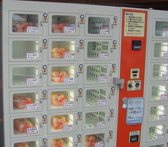 24 điều hay ho mà thế giới nên học hỏi người Nhật 24 điều hay ho mà thế giới nên học hỏi người Nhật