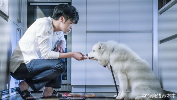 Cùng là tổng tài bá đạo nhưng Lăng Dị Châu cao thủ hơn Phong Đằng nhờ 6 tuyệt chiêu tán gái này Cùng là tổng tài bá đạo nhưng Lăng Dị Châu cao thủ hơn Phong Đằng nhờ 6 tuyệt chiêu tán gái này