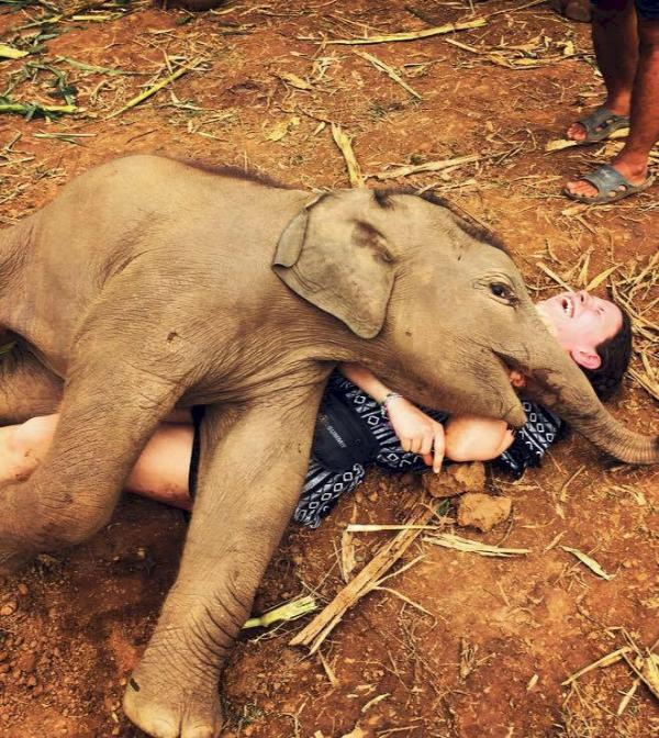 20 khoảnh khắc chứng minh thế giới luôn mới mẻ, thú vị theo cách riêng của nó 20 khoảnh khắc chứng minh thế giới luôn mới mẻ, thú vị theo cách riêng của nó
