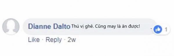 Phun nhũ lấp lánh vào 'cặp bi' của thú cưng - Trào lưu gây phẫn nộ cho những người yêu động vật Phun nhũ lấp lánh vào 'cặp bi' của thú cưng - Trào lưu gây phẫn nộ cho những người yêu động vật