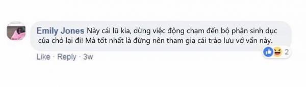 Phun nhũ lấp lánh vào 'cặp bi' của thú cưng - Trào lưu gây phẫn nộ cho những người yêu động vật Phun nhũ lấp lánh vào 'cặp bi' của thú cưng - Trào lưu gây phẫn nộ cho những người yêu động vật