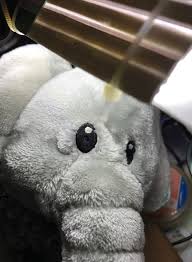 Những lần sasaeng fan khiến K-Pop chìm trong ác mộng: Bắt cóc, rao bán quần lót, gửi huyết thư Những lần sasaeng fan khiến K-Pop chìm trong ác mộng: Bắt cóc, rao bán quần lót, gửi huyết thư