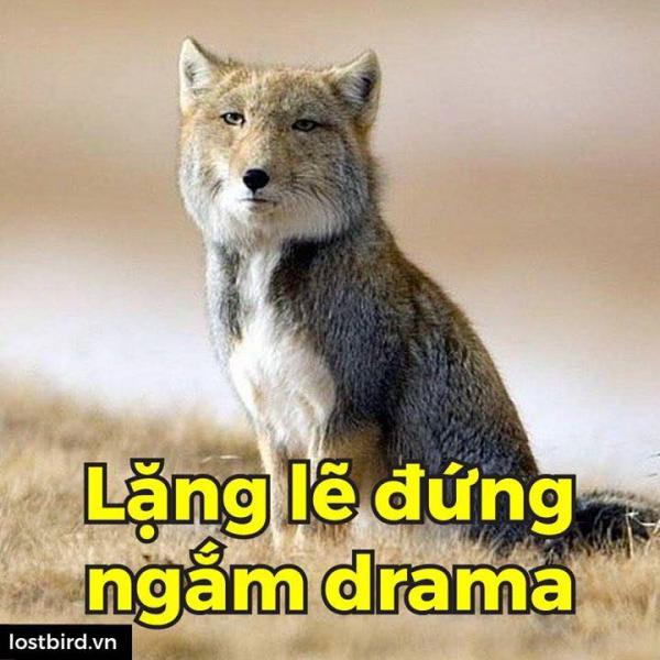 Chúa đã nghĩ gì khi ngài sáng tạo ra các loài sinh vật này nhỉ? Chúa đã nghĩ gì khi ngài sáng tạo ra các loài sinh vật này nhỉ?