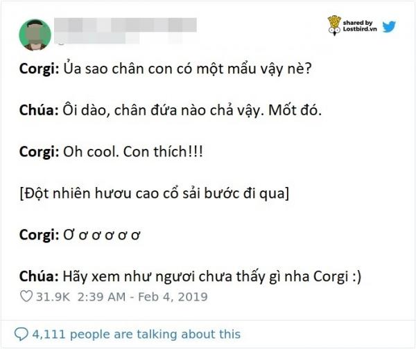 Chúa đã nghĩ gì khi ngài sáng tạo ra các loài sinh vật này nhỉ? Chúa đã nghĩ gì khi ngài sáng tạo ra các loài sinh vật này nhỉ?