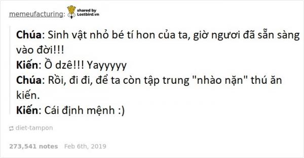 Chúa đã nghĩ gì khi ngài sáng tạo ra các loài sinh vật này nhỉ? Chúa đã nghĩ gì khi ngài sáng tạo ra các loài sinh vật này nhỉ?