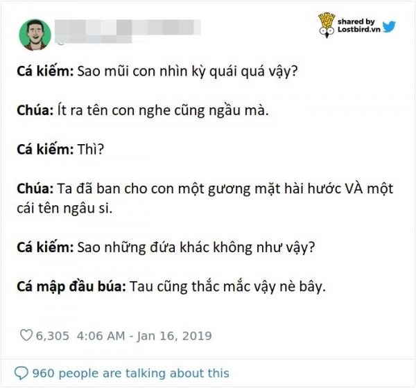 Chúa đã nghĩ gì khi ngài sáng tạo ra các loài sinh vật này nhỉ? Chúa đã nghĩ gì khi ngài sáng tạo ra các loài sinh vật này nhỉ?
