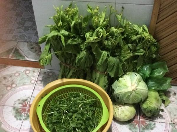 Những túi hành lý nặng tình quê hương chỉ có ai về quê ăn Tết mới hiểu Những túi hành lý nặng tình quê hương chỉ có ai về quê ăn Tết mới hiểu
