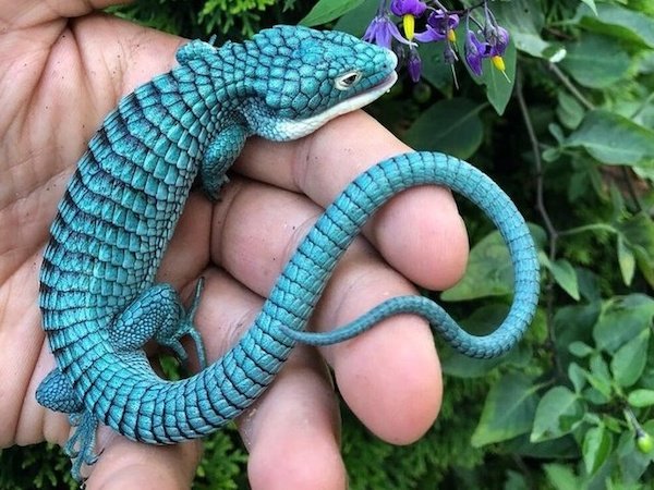 Loạt ảnh thú vị chứng minh cuộc sống này còn đáng ngắm nhìn và khám phá biết bao Loạt ảnh thú vị chứng minh cuộc sống này còn đáng ngắm nhìn và khám phá biết bao