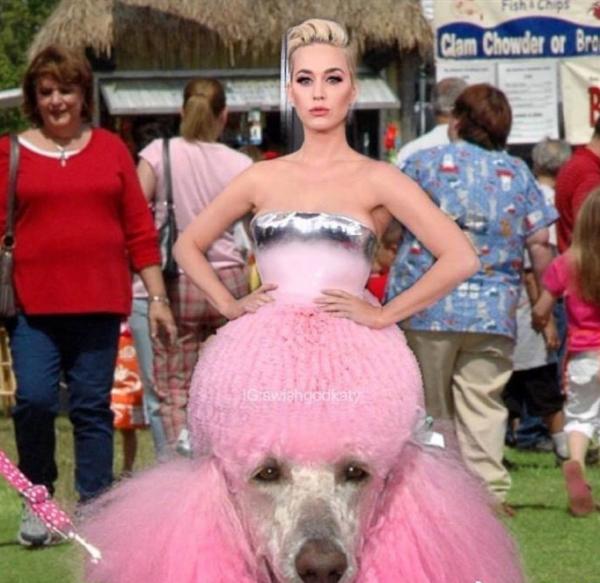 Sau Grammy 2019, Katy Perry lên ngôi 'Nữ hoàng meme' nhờ đầm hường kiểu búp bê cắm bánh sinh nhật Sau Grammy 2019, Katy Perry lên ngôi 'Nữ hoàng meme' nhờ đầm hường kiểu búp bê cắm bánh sinh nhật