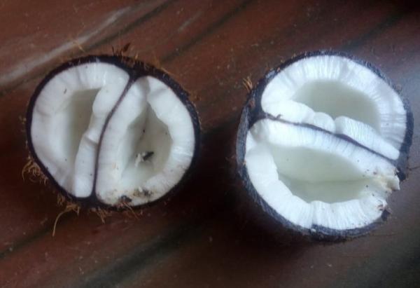 Đầu năm mới, hãy xem và ghen tị với những người được thần may mắn hộ mệnh Đầu năm mới, hãy xem và ghen tị với những người được thần may mắn hộ mệnh