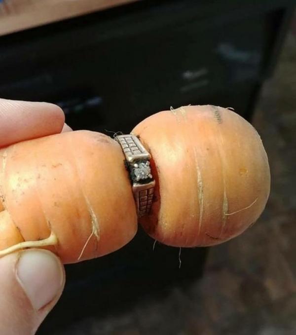 Đầu năm mới, hãy xem và ghen tị với những người được thần may mắn hộ mệnh Đầu năm mới, hãy xem và ghen tị với những người được thần may mắn hộ mệnh
