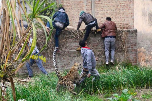 Một ngày đẹp trời, em báo sổng chuồng và cuộc rượt đuổi gay cấn bắt đầu Một ngày đẹp trời, em báo sổng chuồng và cuộc rượt đuổi gay cấn bắt đầu
