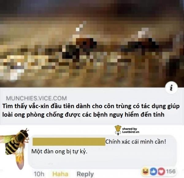 Cười ra nước mắt khi nghe anti-vaxxer đưa ra những lí do bài trừ vắc-xin: Còn gì ngớ ngẩn hơn? Cười ra nước mắt khi nghe anti-vaxxer đưa ra những lí do bài trừ vắc-xin: Còn gì ngớ ngẩn hơn?