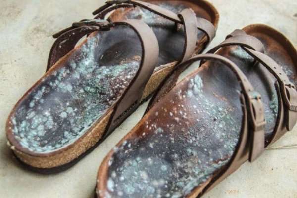 Chẳng cần phim kinh dị, loạt khoảnh khắc kỳ quái đời thường này cũng đủ khiến bạn ám ảnh Chẳng cần phim kinh dị, loạt khoảnh khắc kỳ quái đời thường này cũng đủ khiến bạn ám ảnh