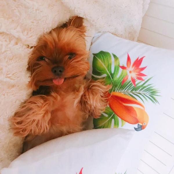 18 minh chứng cho thấy các boss có năng lực 'tẩy não', biến bất kì ai trở thành con sen 18 minh chứng cho thấy các boss có năng lực 'tẩy não', biến bất kì ai trở thành con sen