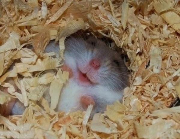 'Tiền nhiều để làm gì?' khi những hạnh phúc này hoàn toàn miễn phí 'Tiền nhiều để làm gì?' khi những hạnh phúc này hoàn toàn miễn phí