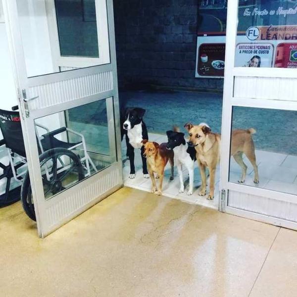 'Tiền nhiều để làm gì?' khi những hạnh phúc này hoàn toàn miễn phí 'Tiền nhiều để làm gì?' khi những hạnh phúc này hoàn toàn miễn phí