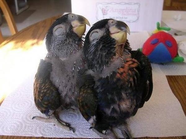 'Tiền nhiều để làm gì?' khi những hạnh phúc này hoàn toàn miễn phí 'Tiền nhiều để làm gì?' khi những hạnh phúc này hoàn toàn miễn phí