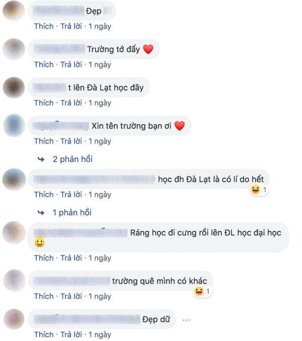 Đi Đà Lạt chơi mùa hoa mai anh đào mà cứ ngỡ lạc chân vào chốn thần tiên nào đó ở Nhật Bản Đi Đà Lạt chơi mùa hoa mai anh đào mà cứ ngỡ lạc chân vào chốn thần tiên nào đó ở Nhật Bản