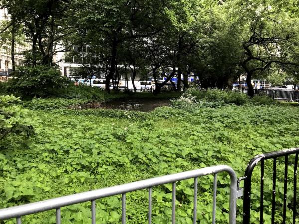 Bí ẩn ga tàu điện ngầm bỏ hoang ngay bên dưới Tòa thị chính New York Bí ẩn ga tàu điện ngầm bỏ hoang ngay bên dưới Tòa thị chính New York