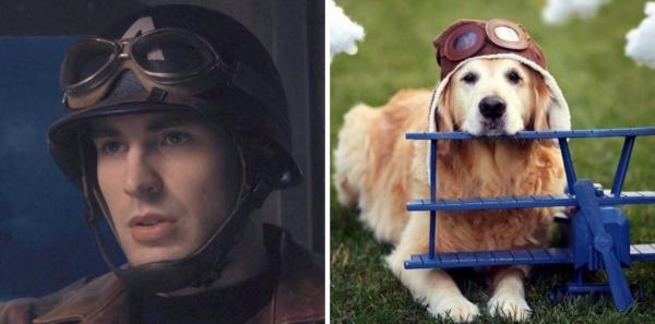 Chris Evans thực ra chính là một anh 'Gâu đần' phiên bản người đúng không? Chris Evans thực ra chính là một anh 'Gâu đần' phiên bản người đúng không?
