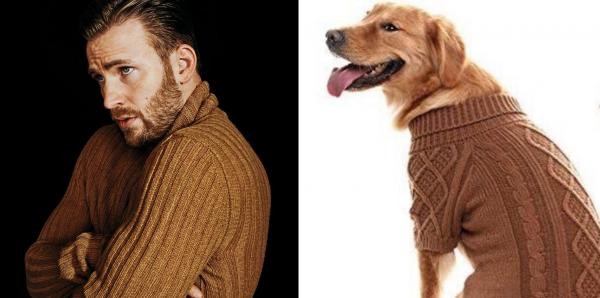 Chris Evans thực ra chính là một anh 'Gâu đần' phiên bản người đúng không? Chris Evans thực ra chính là một anh 'Gâu đần' phiên bản người đúng không?