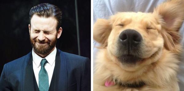 Chris Evans thực ra chính là một anh 'Gâu đần' phiên bản người đúng không? Chris Evans thực ra chính là một anh 'Gâu đần' phiên bản người đúng không?