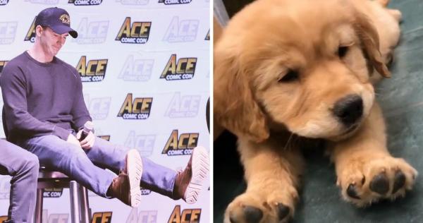 Chris Evans thực ra chính là một anh 'Gâu đần' phiên bản người đúng không? Chris Evans thực ra chính là một anh 'Gâu đần' phiên bản người đúng không?