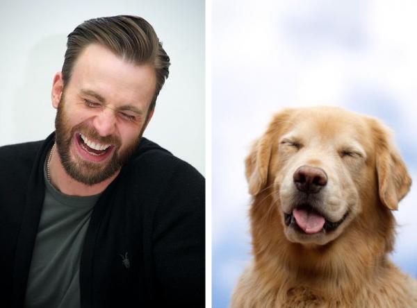 Chris Evans thực ra chính là một anh 'Gâu đần' phiên bản người đúng không? Chris Evans thực ra chính là một anh 'Gâu đần' phiên bản người đúng không?