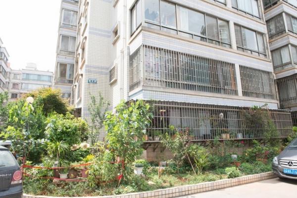 Sự khác biệt thu nhập và cuộc sống giữa người nghèo và người giàu trên toàn thế giới Sự khác biệt thu nhập và cuộc sống giữa người nghèo và người giàu trên toàn thế giới