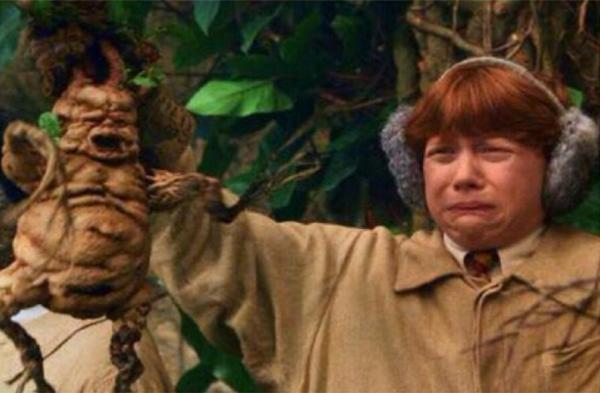 Những chuyện dở khóc dở cười khi các Muggle hiện đại được đi học phép thuật ở Hogwarts? Những chuyện dở khóc dở cười khi các Muggle hiện đại được đi học phép thuật ở Hogwarts?