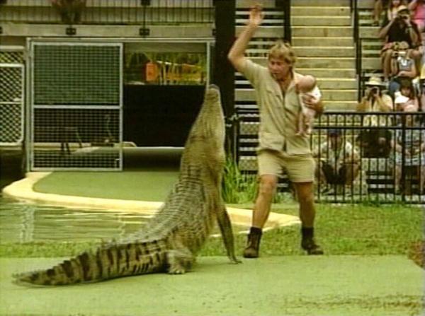 PETA chỉ trích Google vì tôn vinh nhà sinh vật học quá cố Steve Irwin PETA chỉ trích Google vì tôn vinh nhà sinh vật học quá cố Steve Irwin