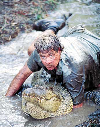 PETA chỉ trích Google vì tôn vinh nhà sinh vật học quá cố Steve Irwin PETA chỉ trích Google vì tôn vinh nhà sinh vật học quá cố Steve Irwin