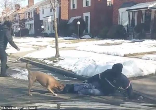 Clip kinh hoàng: Chó pitbull cắn xé người đi đường suốt 6 phút dù bị đánh bằng cả chổi và thùng rác Clip kinh hoàng: Chó pitbull cắn xé người đi đường suốt 6 phút dù bị đánh bằng cả chổi và thùng rác