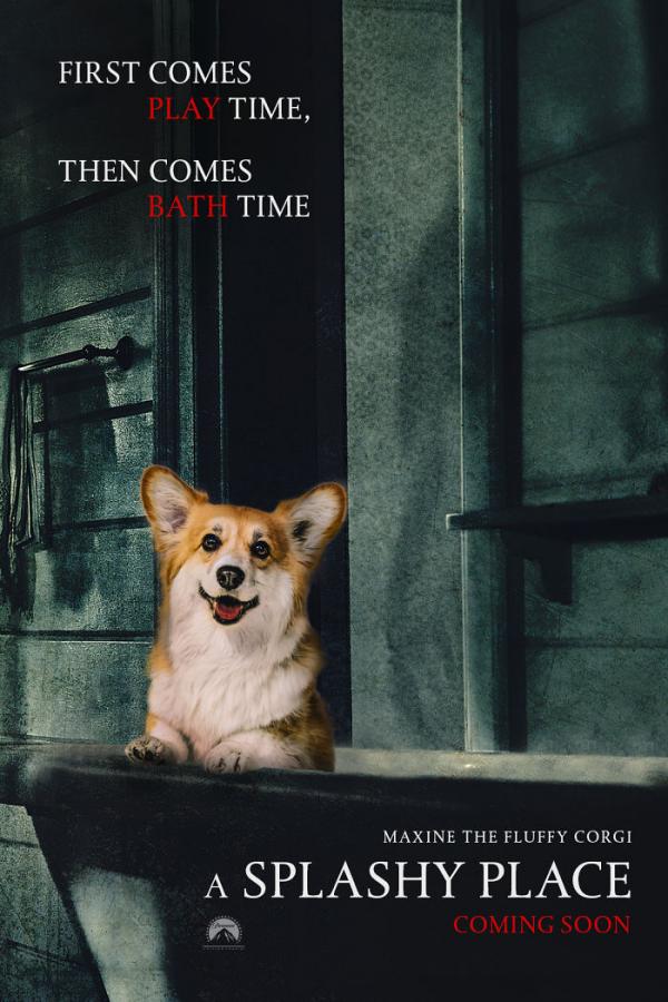 Khi bé chó Corgi trở thành nhân vật chính trong các poster phim bom tấn Khi bé chó Corgi trở thành nhân vật chính trong các poster phim bom tấn