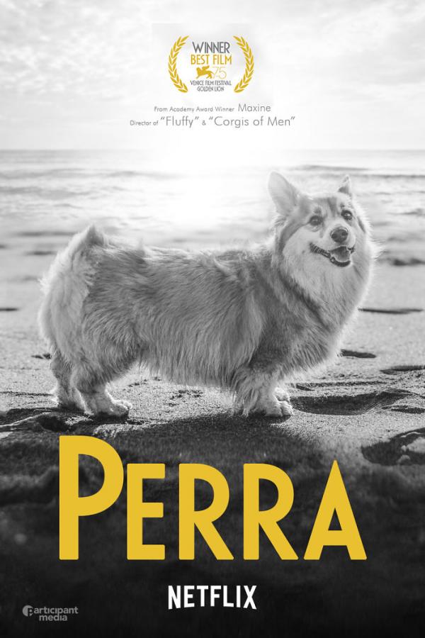 Khi bé chó Corgi trở thành nhân vật chính trong các poster phim bom tấn Khi bé chó Corgi trở thành nhân vật chính trong các poster phim bom tấn