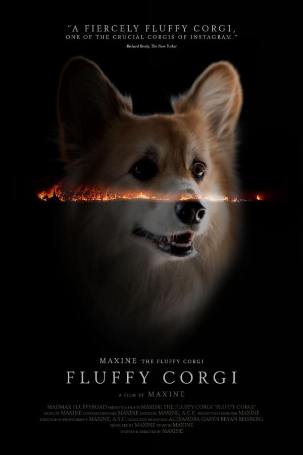 Khi bé chó Corgi trở thành nhân vật chính trong các poster phim bom tấn Khi bé chó Corgi trở thành nhân vật chính trong các poster phim bom tấn