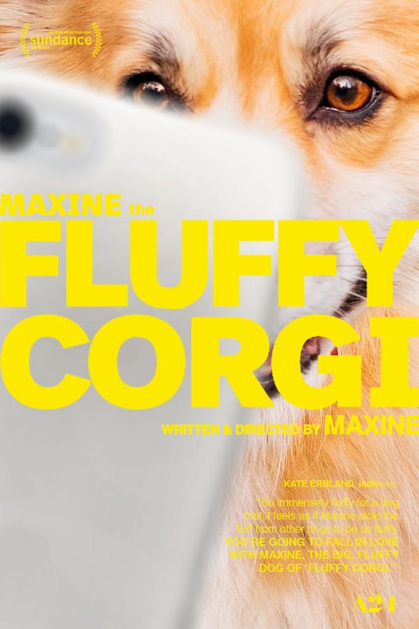 Khi bé chó Corgi trở thành nhân vật chính trong các poster phim bom tấn Khi bé chó Corgi trở thành nhân vật chính trong các poster phim bom tấn