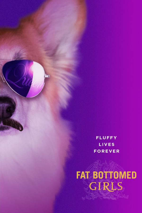 Khi bé chó Corgi trở thành nhân vật chính trong các poster phim bom tấn Khi bé chó Corgi trở thành nhân vật chính trong các poster phim bom tấn