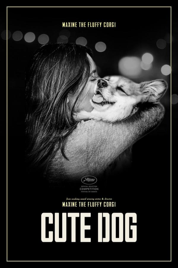 Khi bé chó Corgi trở thành nhân vật chính trong các poster phim bom tấn Khi bé chó Corgi trở thành nhân vật chính trong các poster phim bom tấn