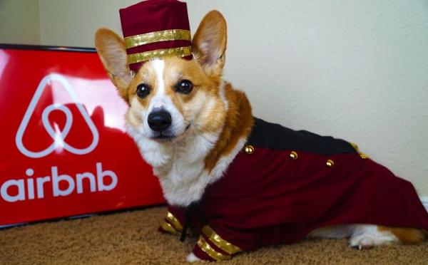 Ở Airbnb để được gặp những người bạn dễ thương này thì bao nhiêu tiền cũng đáng (Kì 1) Ở Airbnb để được gặp những người bạn dễ thương này thì bao nhiêu tiền cũng đáng (Kì 1)
