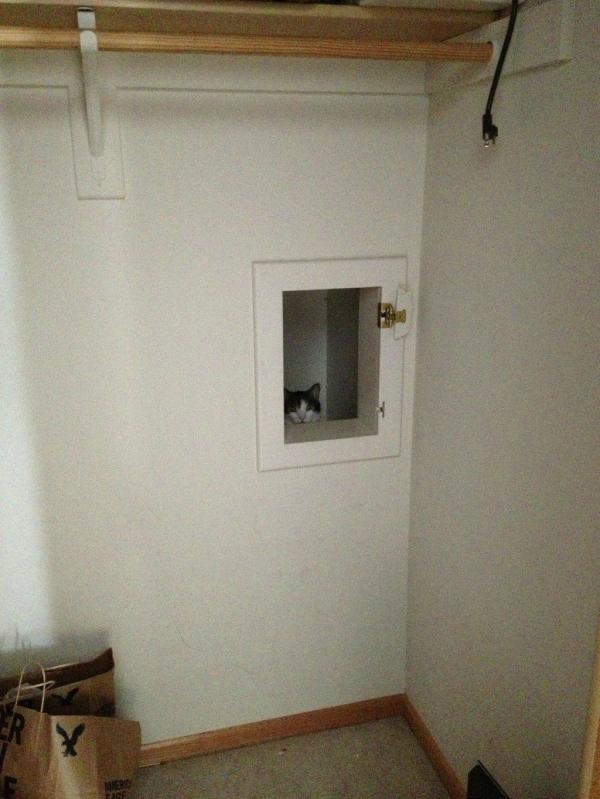 Những 'quàng thượng' đã quá chán ghét sự hầu hạ của loài người Những 'quàng thượng' đã quá chán ghét sự hầu hạ của loài người