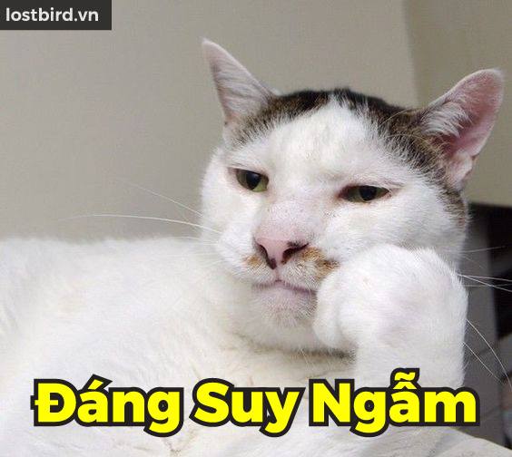 Những câu hỏi 'hóc búa' của luật sư khiến bạn chỉ muốn ấn nút report ngay lập tức Những câu hỏi 'hóc búa' của luật sư khiến bạn chỉ muốn ấn nút report ngay lập tức