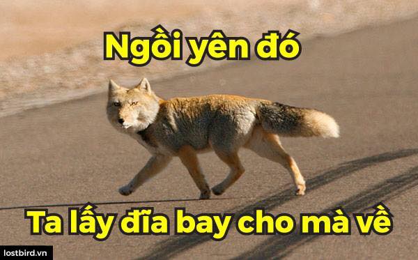 Những câu hỏi 'hóc búa' của luật sư khiến bạn chỉ muốn ấn nút report ngay lập tức Những câu hỏi 'hóc búa' của luật sư khiến bạn chỉ muốn ấn nút report ngay lập tức