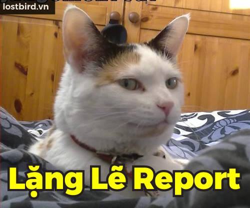 Những câu hỏi 'hóc búa' của luật sư khiến bạn chỉ muốn ấn nút report ngay lập tức Những câu hỏi 'hóc búa' của luật sư khiến bạn chỉ muốn ấn nút report ngay lập tức