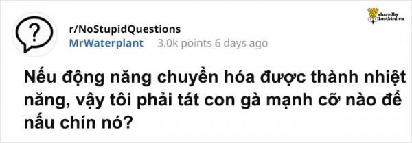 Sinh viên chuyên lý chỉ cách 'tát để nấu chín con gà', dân mạng lại được dịp cười nội thương với loạt meme mới Sinh viên chuyên lý chỉ cách 'tát để nấu chín con gà', dân mạng lại được dịp cười nội thương với loạt meme mới