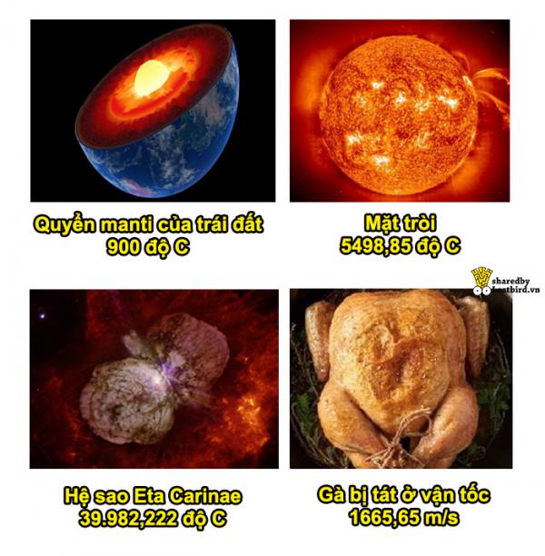 Sinh viên chuyên lý chỉ cách 'tát để nấu chín con gà', dân mạng lại được dịp cười nội thương với loạt meme mới Sinh viên chuyên lý chỉ cách 'tát để nấu chín con gà', dân mạng lại được dịp cười nội thương với loạt meme mới