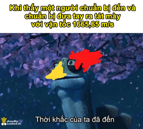 Sinh viên chuyên lý chỉ cách 'tát để nấu chín con gà', dân mạng lại được dịp cười nội thương với loạt meme mới Sinh viên chuyên lý chỉ cách 'tát để nấu chín con gà', dân mạng lại được dịp cười nội thương với loạt meme mới