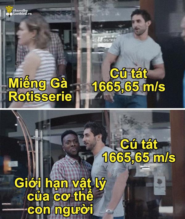 Sinh viên chuyên lý chỉ cách 'tát để nấu chín con gà', dân mạng lại được dịp cười nội thương với loạt meme mới Sinh viên chuyên lý chỉ cách 'tát để nấu chín con gà', dân mạng lại được dịp cười nội thương với loạt meme mới